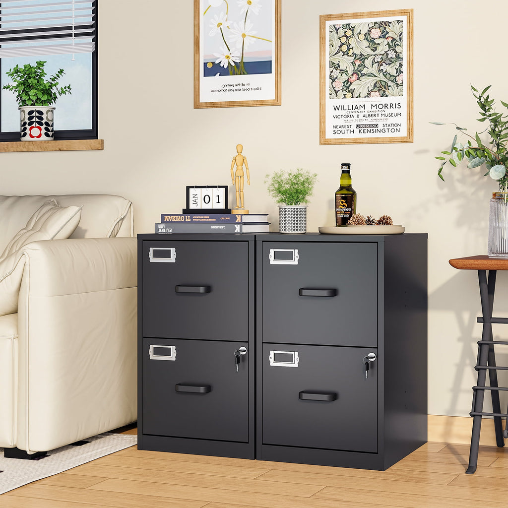 STANI 2 Drawer Filing Cabinet with Lock, Metal Vertical File Storage Cabinets for Home Office, Letter/A4 File Folders Storage, Assembly required (Black)
