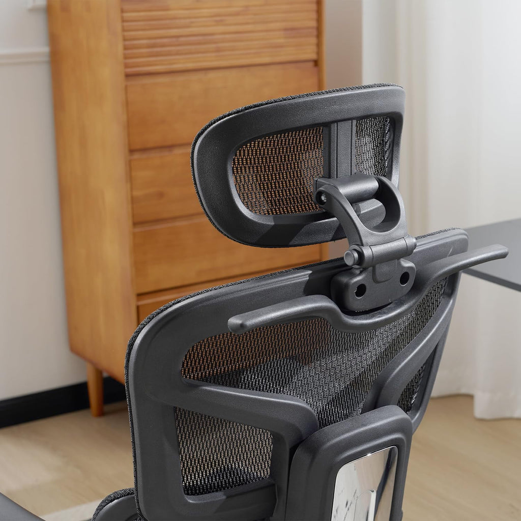 Ergonomic Mesh Office Chair with Armrests, Big and Tall Desk Chair with Lumbar Support, High Back Swivel Computer Chair for Home Office (Black Mesh Dual Support)