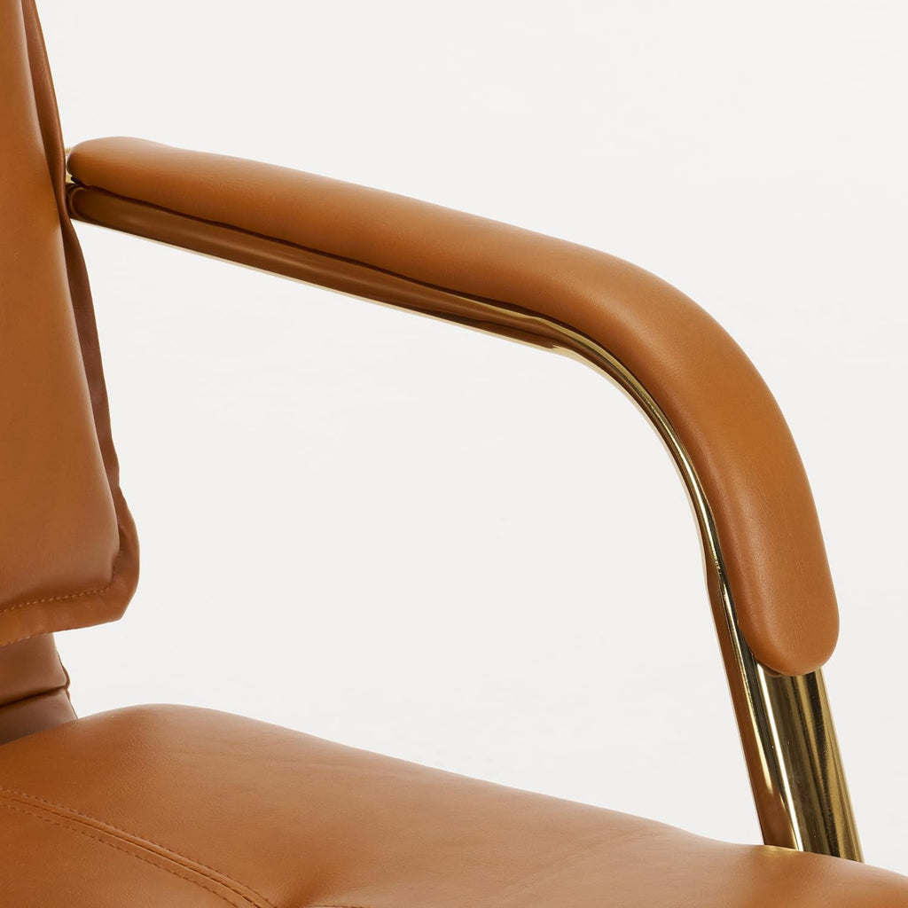 Ergonomic Mesh Office Chair with Armrests, Big and Tall Desk Chair with Lumbar Support, High Back Swivel Computer Chair for Home Office (Black Mesh Dual Support)