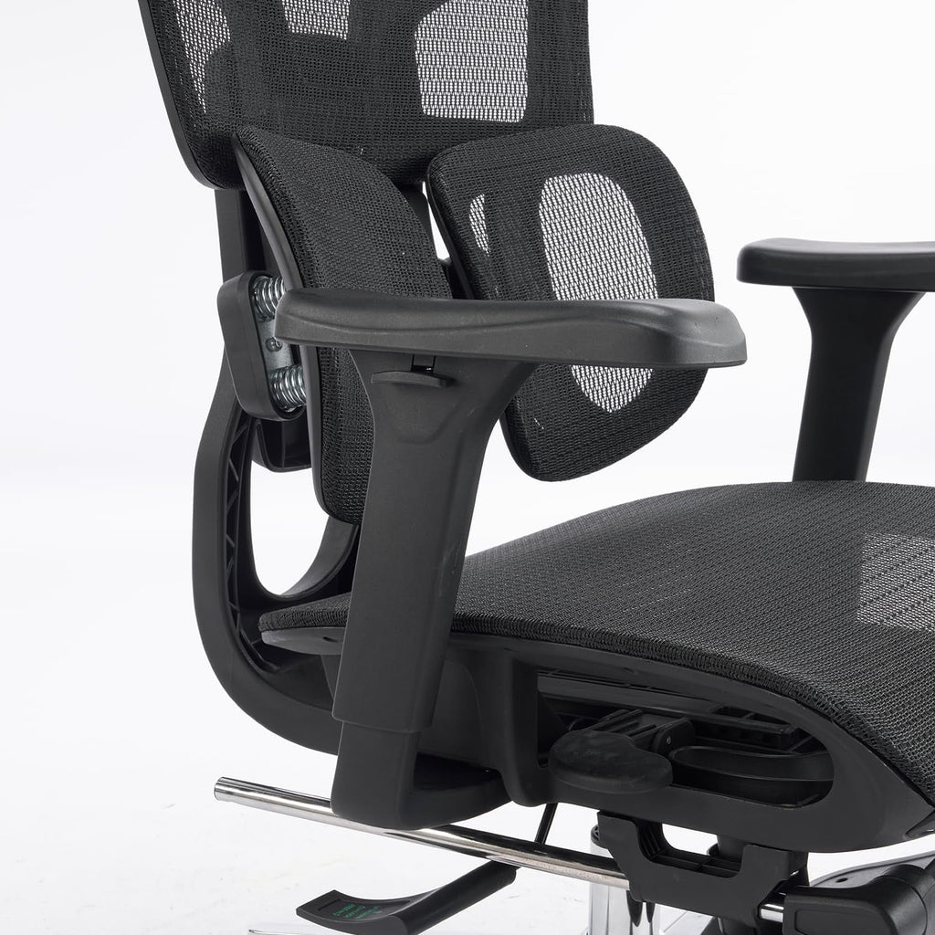 Ergonomic Mesh Office Chair with Armrests, Big and Tall Desk Chair with Lumbar Support, High Back Swivel Computer Chair for Home Office (Black Mesh Dual Support)